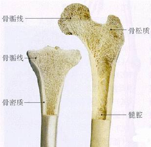 骨密度仪检测对预防骨质疏松的必要性