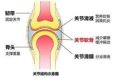 超声波骨密度测量仪的检测原理