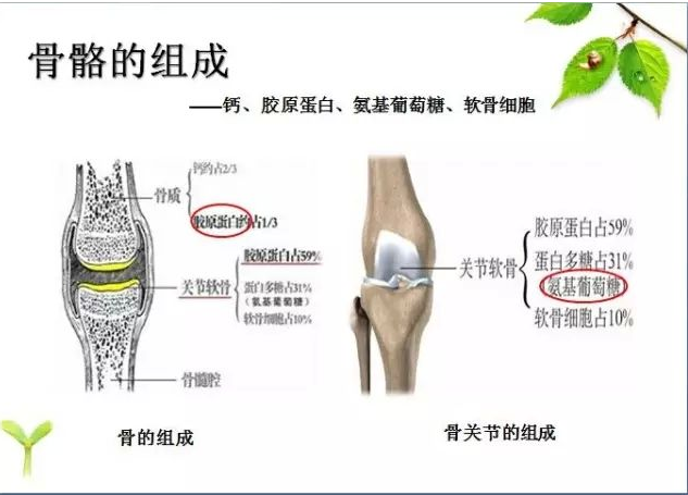 便携式骨密度检测仪品牌详述骨密度增加诊断