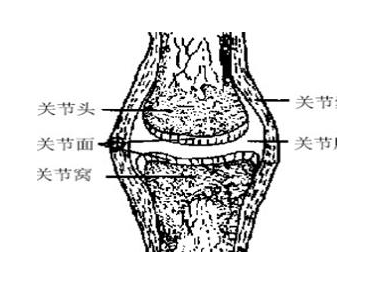 骨密度检测仪厂家分析骨硬化症状的表现