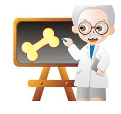 制定超声骨密度检测仪的校准规范