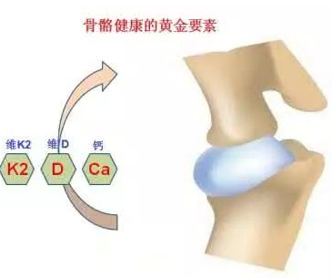 骨密度检测仪厂家提醒好习惯预防骨骼疾病 骨密度检测仪厂家提醒好习惯预防骨骼疾病