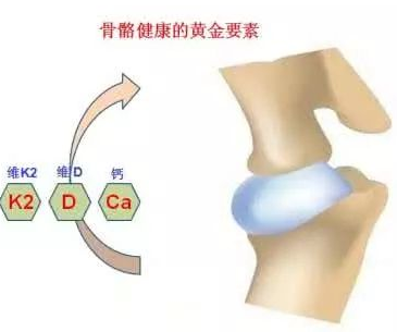 骨密度检测仪厂家提醒好习惯预防骨骼疾病