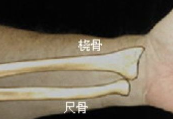 超声骨密度检测仪价格能决定仪器性能吗? 超声骨密度检测仪价格能决定仪器性能吗?