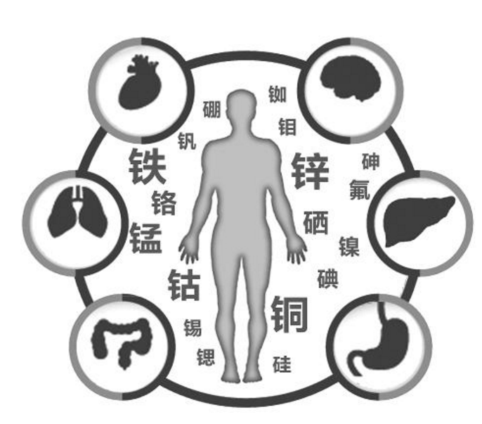 山东省超声骨密度仪生产厂家排名,国康骨密度仪各种型号规格选购! 山东省超声骨密度仪生产厂家排名,国康骨密度仪各种型号规格选购!