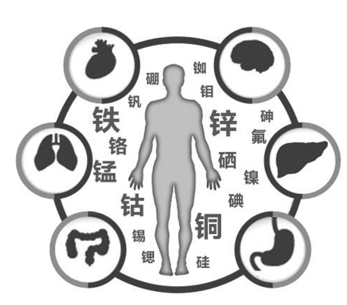 山东省超声骨密度仪生产厂家排名，国康骨密度仪各种型号规格选购！