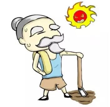 超声骨密度仪品牌国康揭秘抗骨质疏松,晒太阳的诀窍!