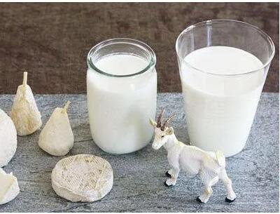 超声骨密度分析仪生产厂家提示喝羊奶可以缓解骨质疏松？