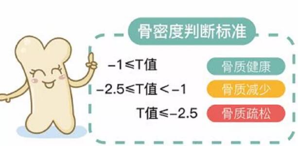 超声骨密度检测仪器在骨密度检测过程中的好处