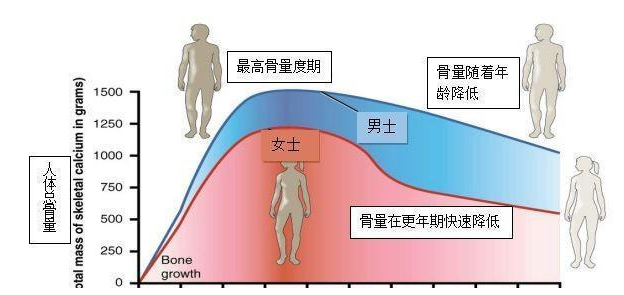 【今天引荐】超声骨密度测试仪器生产厂家主张两种提高男人骨密度的练习